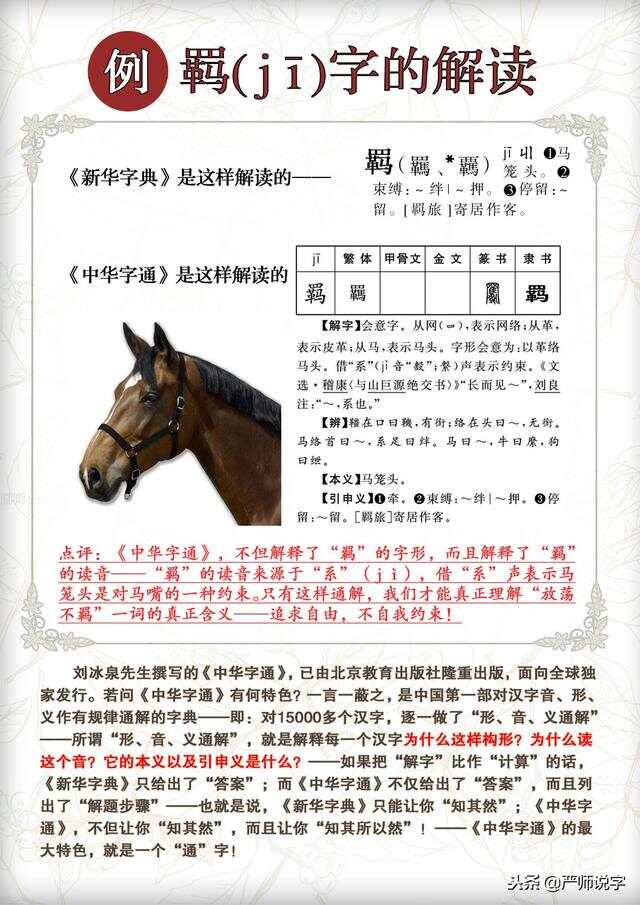 真相大白：王中王493333码头诗请全面释义、解释与落实